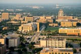 tamu