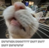 1736382254927738