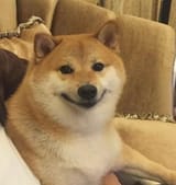 doge