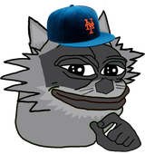 Raccoon Citi