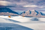 IMG_1831