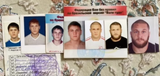 fiziev evolution id card