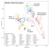 DNA Map