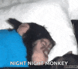 monkey-wake