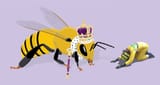 queen-bee-pictures-2444-x-1629-0lk36nykhhd7alox