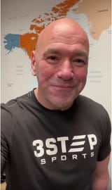 punchable dana
