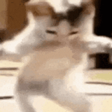 aaaaaaaaaaaaaaaa