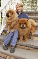 Martha Stewart