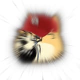 gayngycard