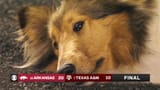 reveille just about had it