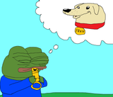 f19yi3lpdkq31