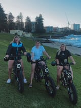 sharkbikes25