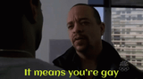 ice-t-you-are-gay