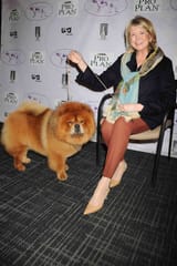 martha-stewart-dog-show-2-6aa9e4b64f95435da8c8a11e0eb8ba87
