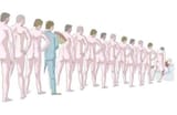 Lady Line
