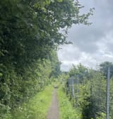 IMG_1564