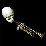 dootdoot