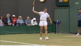 dasha
