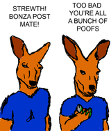 bonza