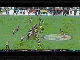 hines-ward-animated-gif
