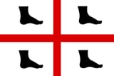 newflag