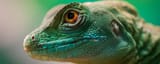 GreenLizardFace_1024