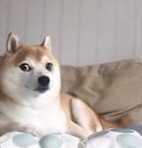 1747627117571713