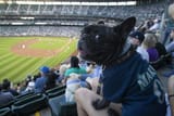mariners_dog_026