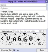 captcha vaggo