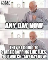 2 weeks