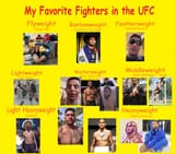 Favorite UFC Figters favfighters