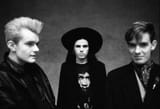 the cult bw