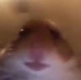 1738178200262506