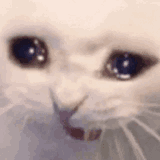 pls