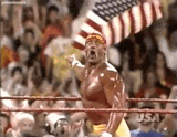 hulk hogan usa giphy