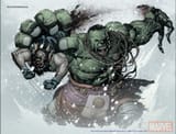 hulk vs wolverine