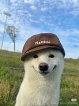 nice