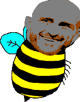 volkanovsbee