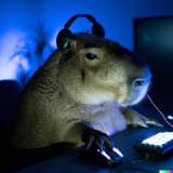 Gamer Capybro