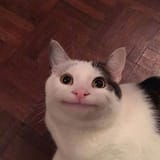 1642554101740