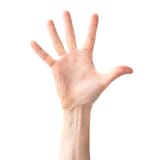 woman-five-fingers_104337-5944