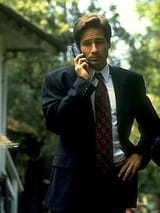 mulder