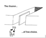 Illusion-of-free-choice-meme-2dhurg