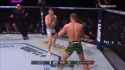 dricbeast mauls antillope_thumb.jpg
