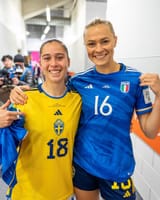 dragoni_rolfö_shirt_swap