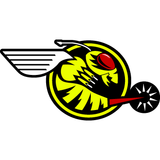buzzin-hornets