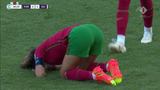 portubrap