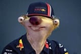 MAX THE SLOTH