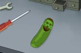 Pickle ilia