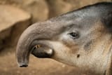images - 2025-05-03T190631.631